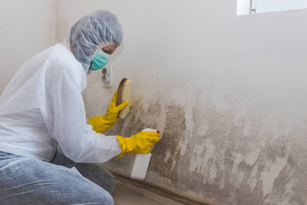 Best Industrial Mold Remediation in Freeport, FL