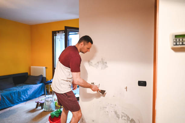 Best Mold Testing and Inspection Services in Freeport, FL